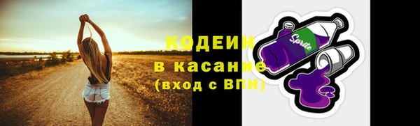 амф Касимов