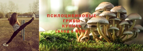 амф Касимов